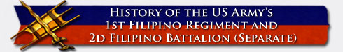 Filipino Regiment banner