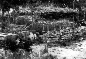 Photo: Double pillbox, earth and bamboo