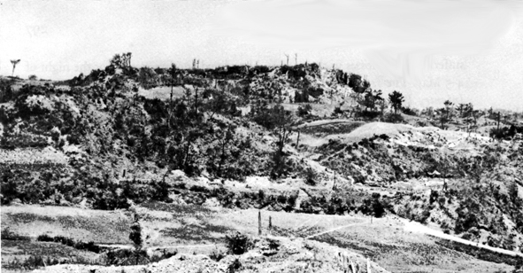 Photo: TANABARU ESCARPMENT