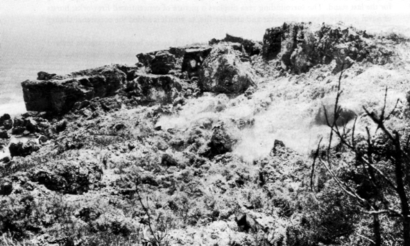 Photo: LAST JAPANESE COMMAND POST