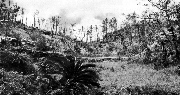 Photo: SADDLE BETWEEN KAKAZU WEST AND KAKAZU RIDGE