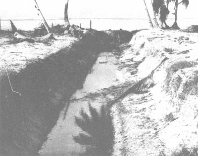 photo: Section of Antitank Trench, 6 feet deep and over 14 feet wide