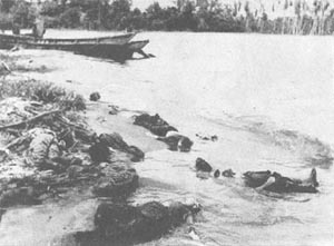 Photo: Japanese Dead near Buna Mission, 3 January