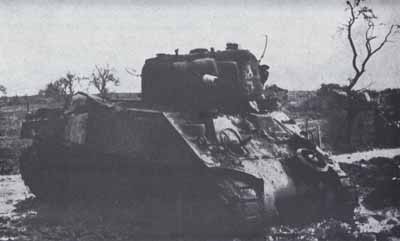HAUPTMAN'S DESTROYED TANK in orchard 