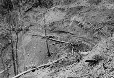 Army bulldozers constructing the Ledo Road cut a path through a hillside in the Indian jungle.