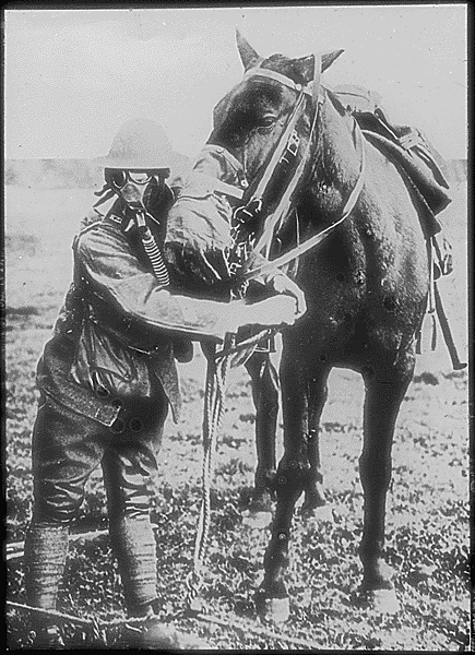 Gas masks for man and horse