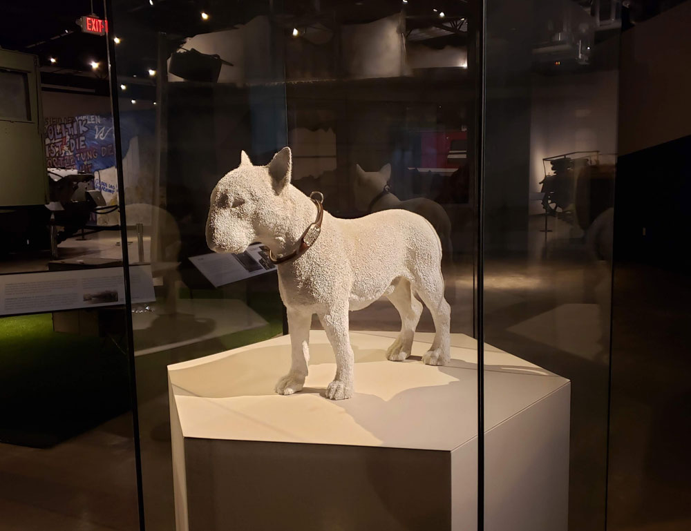 A canine statue museum artifact found inside the General George Patton Museum.