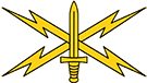 Cyber Branch Insignia