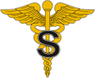Medical Specialist Corps Insignia
